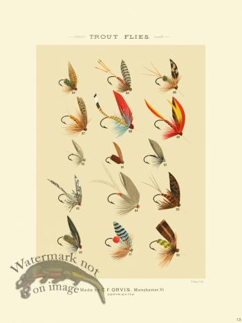 Favorite Flies 13 Trout